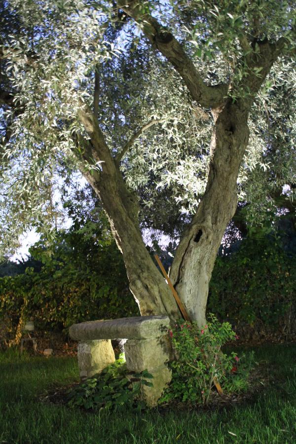 Appartamento Le Tre Palme Frigintini Exterior photo